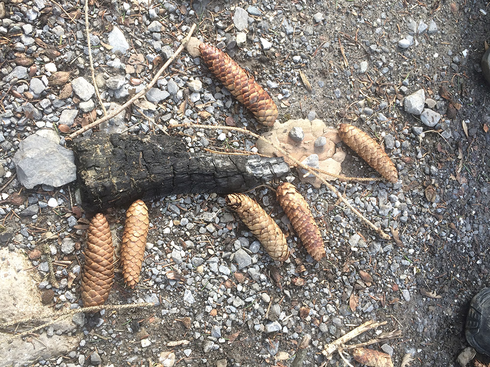 Bild aus Naturmeterial