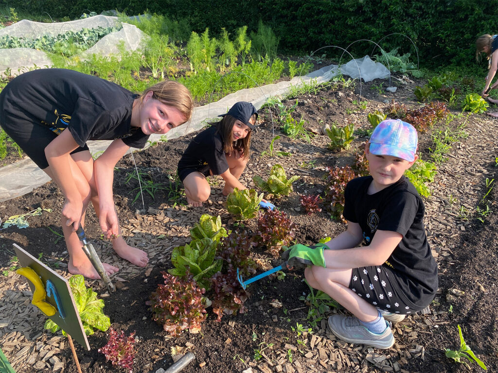 Pfadfinder im Garten